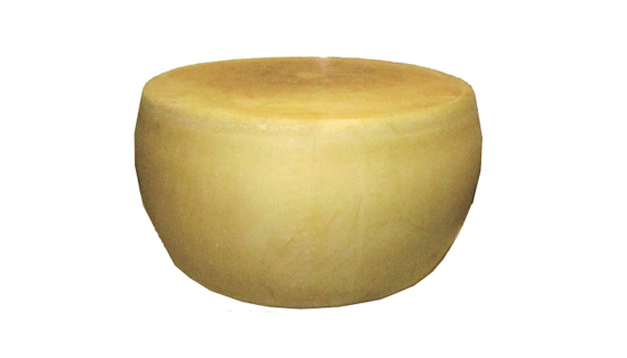 C108辛尼迪牌巴马臣奶酪
