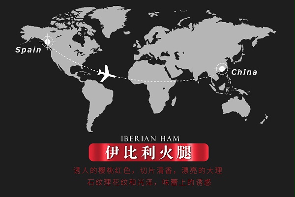LA-IB48M100伊比利亚后腿切片（橡果）48个月_06