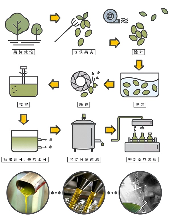COSTA-DEL-RIPARO橄榄油_05