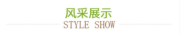 风采展示