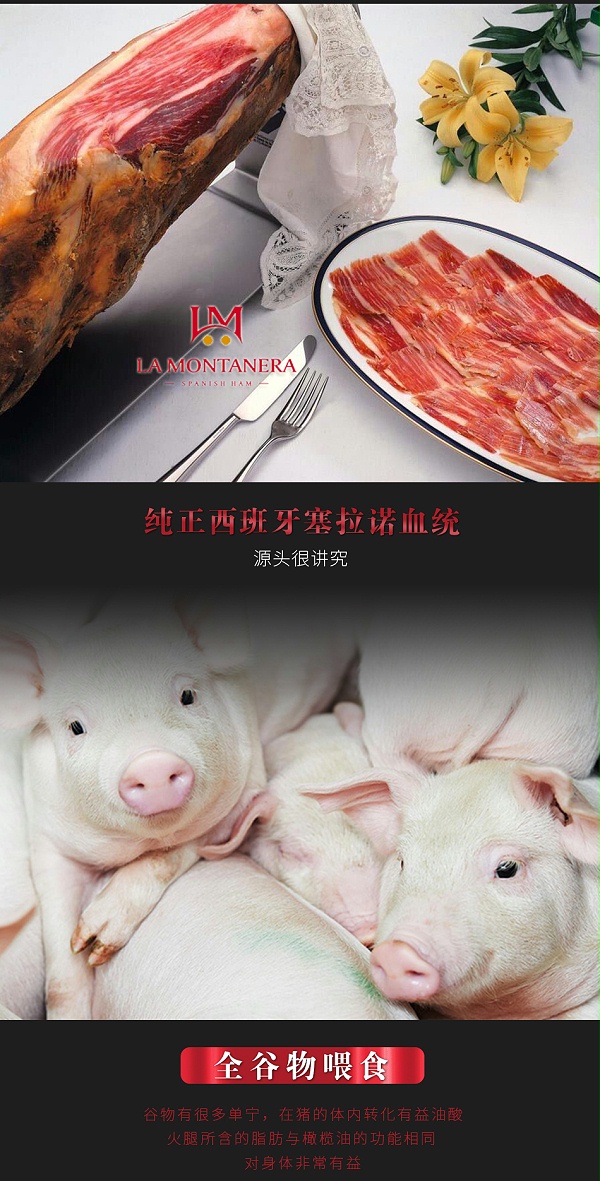 塞拉诺风干火腿后腿切片