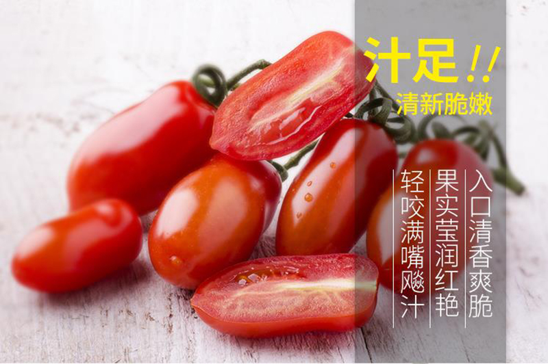一口一个番茄的罐头，怎么吃都好吃！