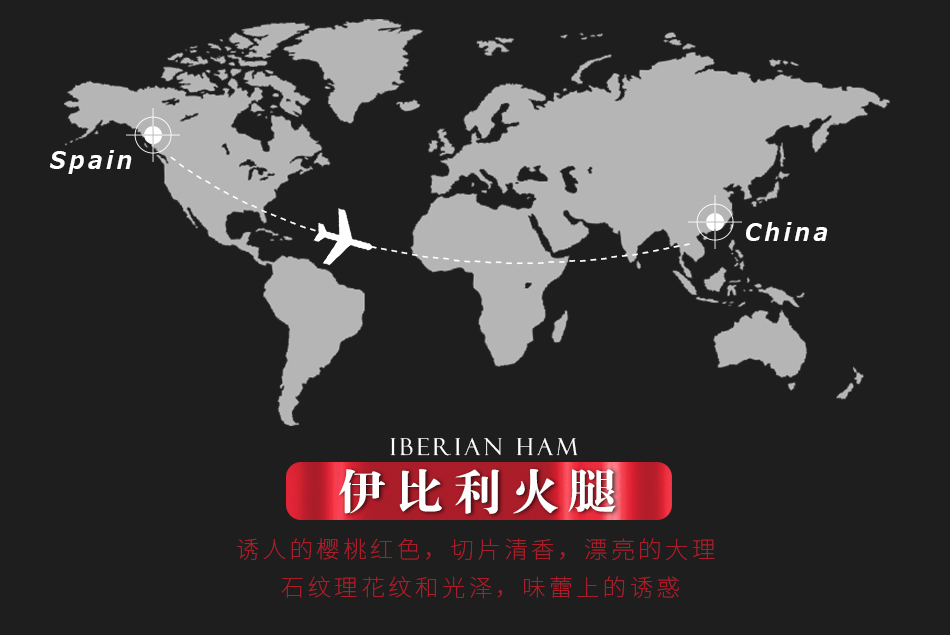LA-IB48M100伊比利亚后腿切片（橡果）48个月_06