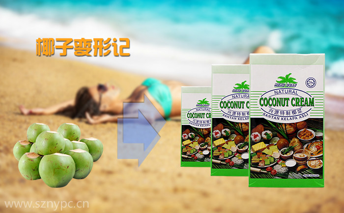 兴源椰浆