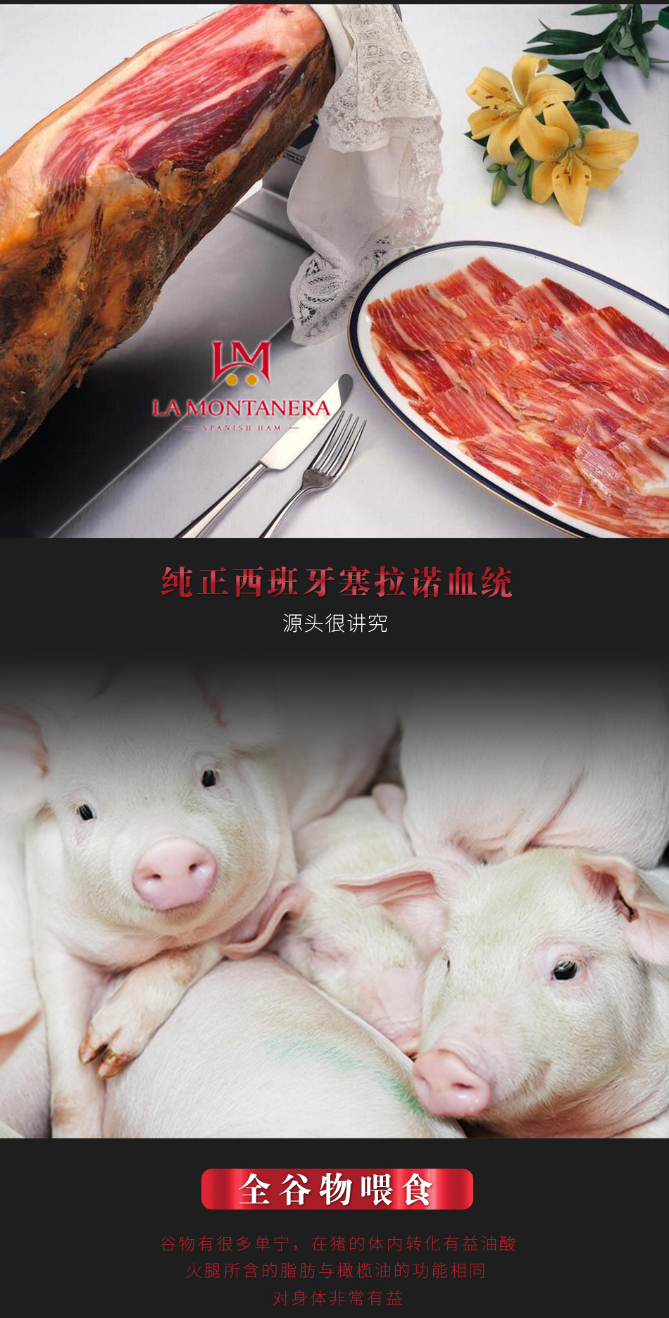 塞拉诺风干火腿后腿切片