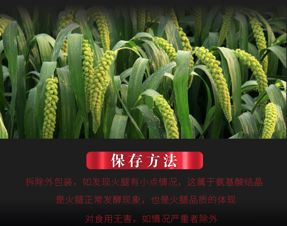 塞拉诺风干火腿后腿切片