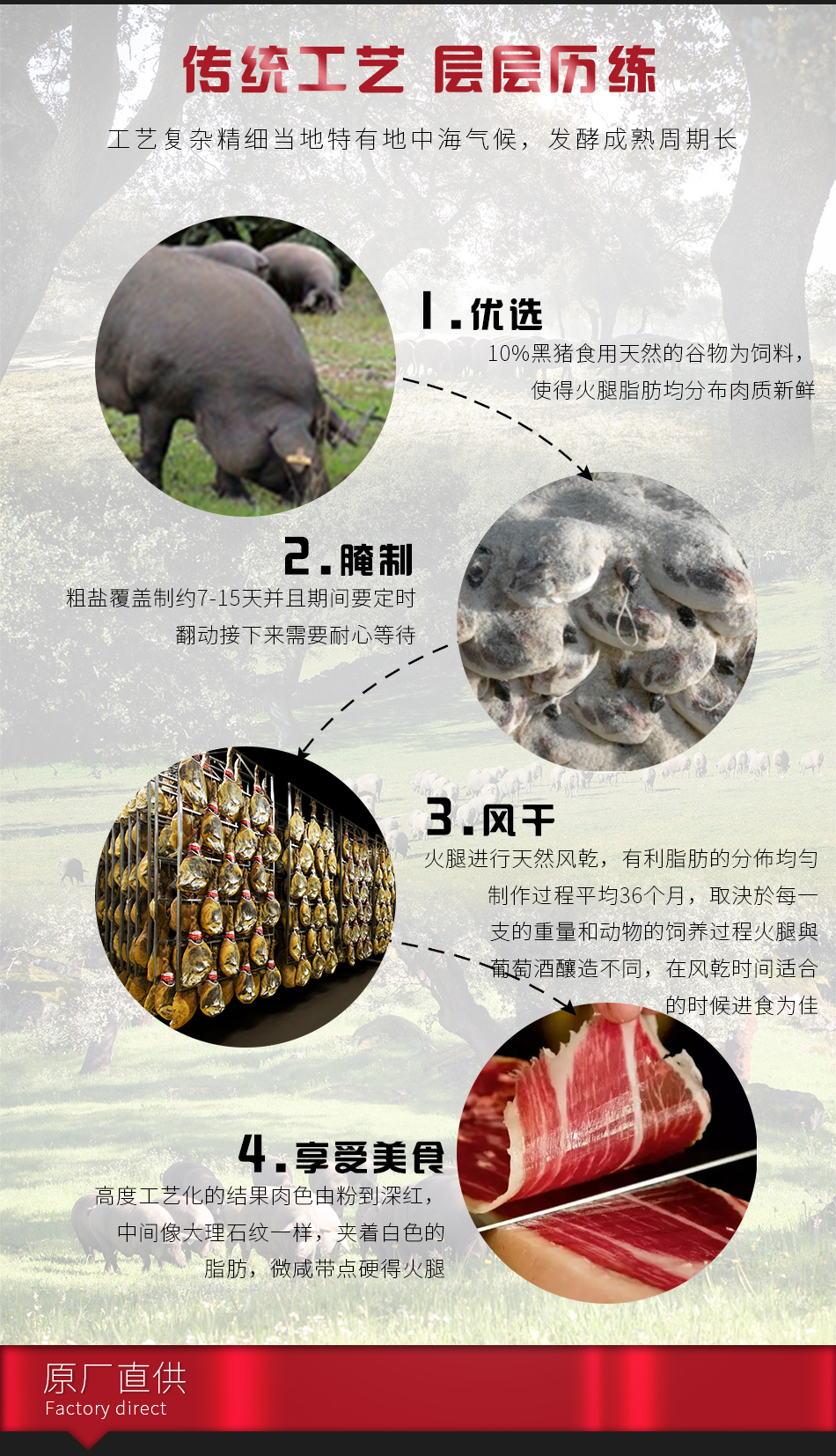 LA-IS24M伊比利亚后腿切片（谷物）24个月_04