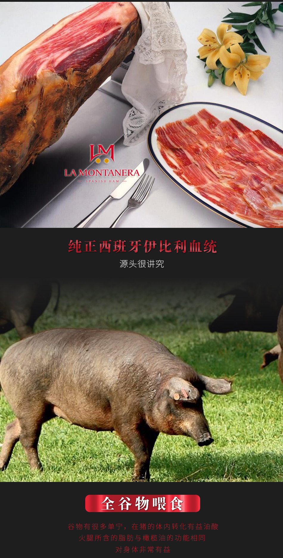 LA-IS24M伊比利亚后腿切片（谷物）24个月_06
