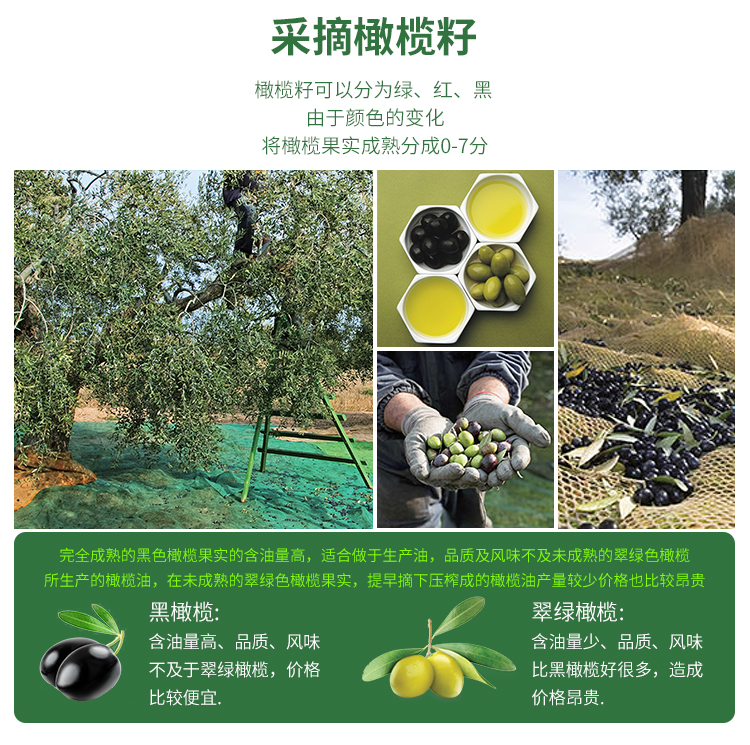 橄榄油详情页_05